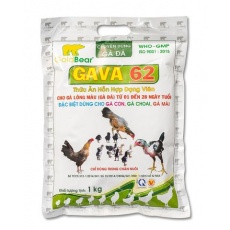 GAVA 62