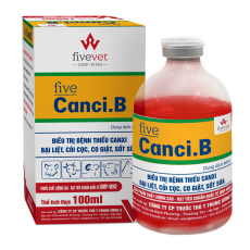 Five-Canci.B
