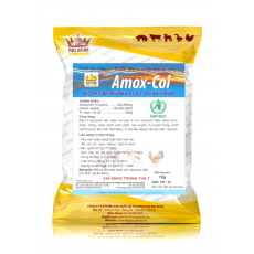 AMOX – COL Đặc trị sưng phù đầu, E.coli, tụ huyết trùng