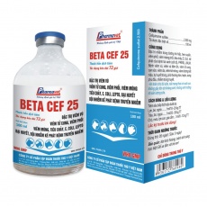 BETA CEF 25