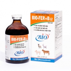 BIO FER B12