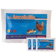 Đặc trị bệnh tiêu hóa, hô hấp, tụ huyết trùng, tiêu chảy ở gia súc gia cầm - Amcolicillin