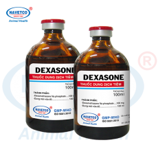 DEXASONE