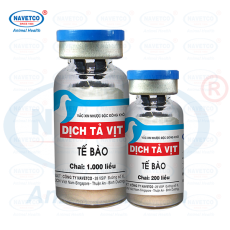 Dịch tả vịt tế bào( NHƯỢC ĐỘC ĐÔNG KHÔ )