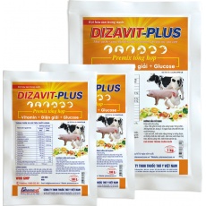 DIZAVIT-PLUS