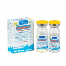 DOXENRO-CD (1G+10ML/CẶP)