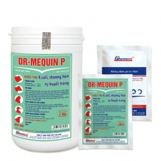 DR-MEQUIN P