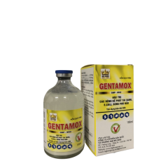 GENTAMOX – Đặc trị các bệnh kế phát tai xanh, e.coli, sưng phù đầu.