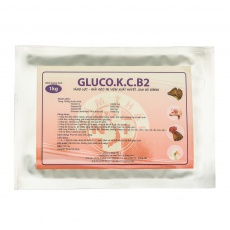 GLUCO.K.C.B2