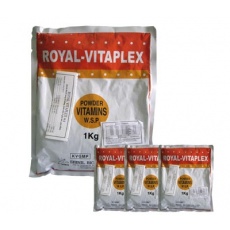 Kích thích tăng trưởng, sinh sản ở gia súc, gia cầm - ROYAL VITAPLEX