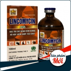 Lincomycin – Đặc trị các bệnh viêm đường hô hấp, viêm khớp, tiêu chảy số 1