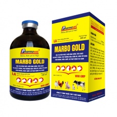 MARBO GOLD