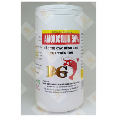 MK AMOXICILLIN 50% TÔM (PG)1KG