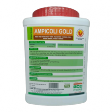 MK AMPICOLI GOLD