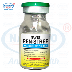 NAVET-PEN-STREP( BỘT PHA TIÊM )