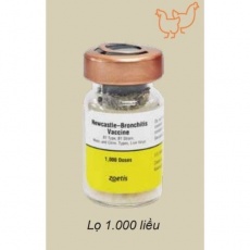 NEWCASTLE BRONCHITIS (Zeotis) 1000liều