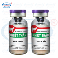 Nhiệt thán( NHƯỢC ĐỘC ĐÔNG KHÔ )