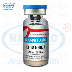 Niu-Cát-Xơn chịu nhiệt( NHƯỢC ĐỘC ĐÔNG KHÔ )