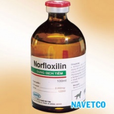 NORFLOXILIN