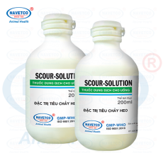 SCOUR-SOLUTION