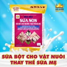 Sữa non – Sữa dinh dưỡng số 1, thay thế sữa mẹ cho vật nuôi