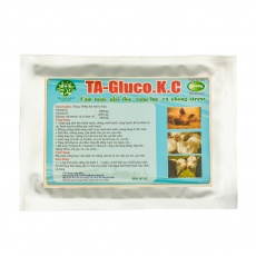 TA – GLUCO.K.C