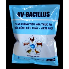 UV BACILLUS