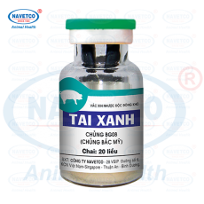 VẮC XIN TAI XANH( NHƯỢC ĐỘC ĐÔNG KHÔ )