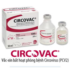 Vắc-xin bất hoạt phòng bệnh Circovirus (PCV2)