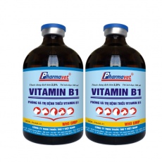 VITAMIN B1 2.5%