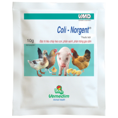 VMD COLI NORGENT