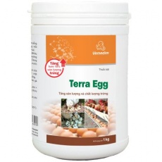 VMD TERRA EGG