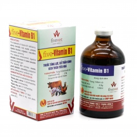 Five-Vitamin B1 Inj