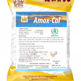 AMOX – COL Đặc trị sưng phù đầu, E.coli, tụ huyết trùng