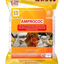 Amprococ – Đặc trị cầu trùng trên gia cầm hiệu quả số 1