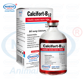 CALCIFORT-B12
