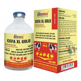 CEFA XL.GOLD