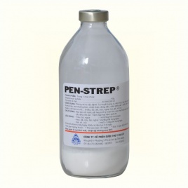 CL PEN-STREP