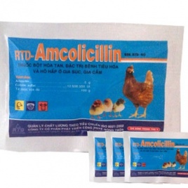 Đặc trị bệnh tiêu hóa, hô hấp, tụ huyết trùng, tiêu chảy ở gia súc gia cầm - Amcolicillin