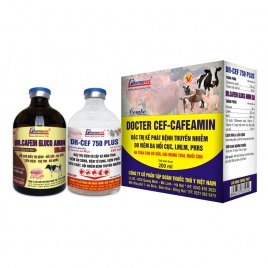 DOCTER CEF-CAFEAMIN