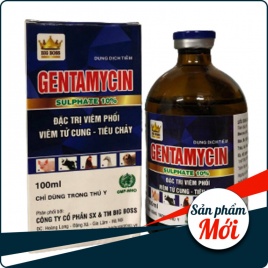 Gentamycin – Đặc trị Tụ huyết trùng – viêm phổi – thương hàn