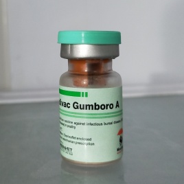 GUMBORO A (GREENVET)