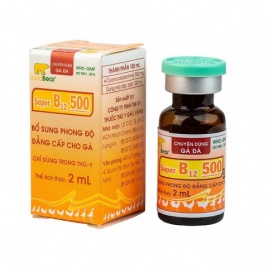 GV SUPER B12 500 (2ML/LỌ)