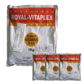 Kích thích tăng trưởng, sinh sản ở gia súc, gia cầm - ROYAL VITAPLEX