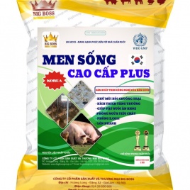 Men sống cao cấp plus, giúp tiêu hóa tốt – Hiệu quả số 1