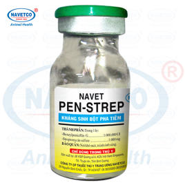 NAVET-PEN-STREP( BỘT PHA TIÊM )