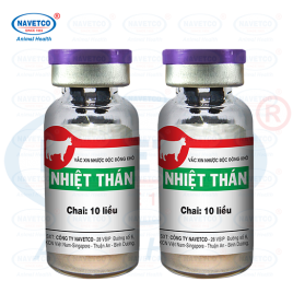 Nhiệt thán( NHƯỢC ĐỘC ĐÔNG KHÔ )