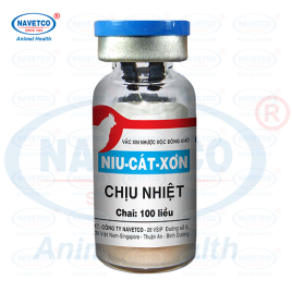 Niu-Cát-Xơn chịu nhiệt( NHƯỢC ĐỘC ĐÔNG KHÔ )