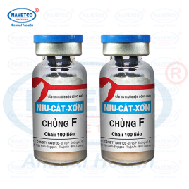 Niu-Cát-Xơn chủng F( NHƯỢC ĐỘC ĐÔNG KHÔ )