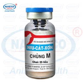 Niu-Cát-Xơn chủng M( NHƯỢC ĐỘC ĐÔNG KHÔ )